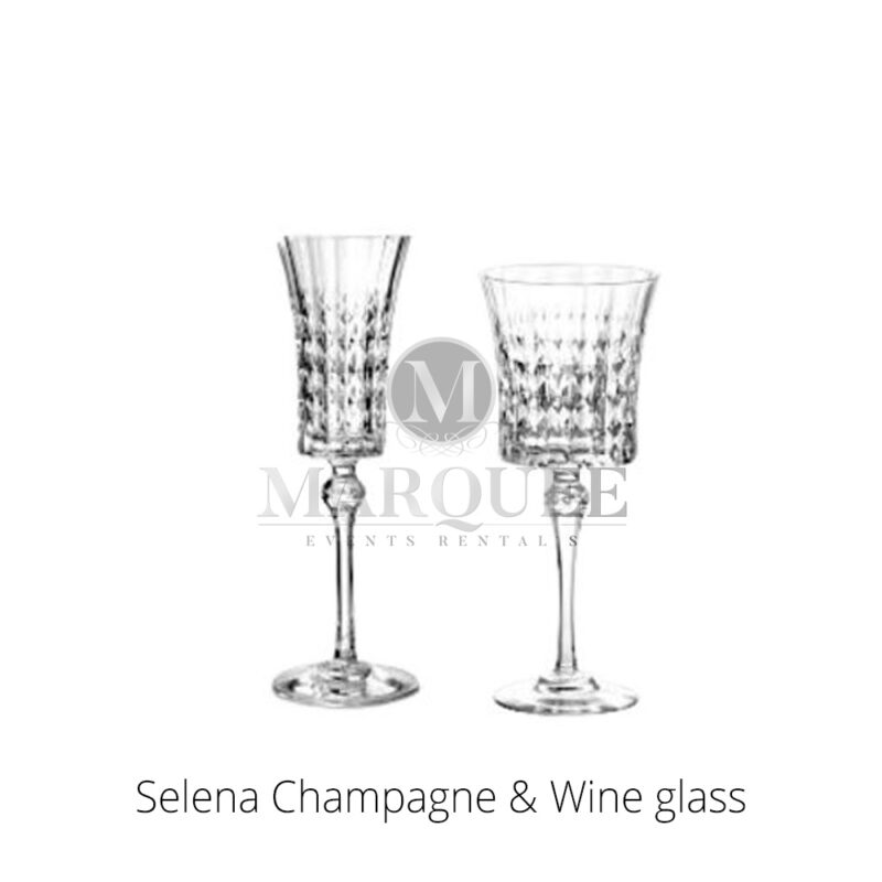 Selena champagne and wine assorted